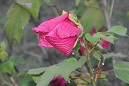 %_tempFileNametye013%
